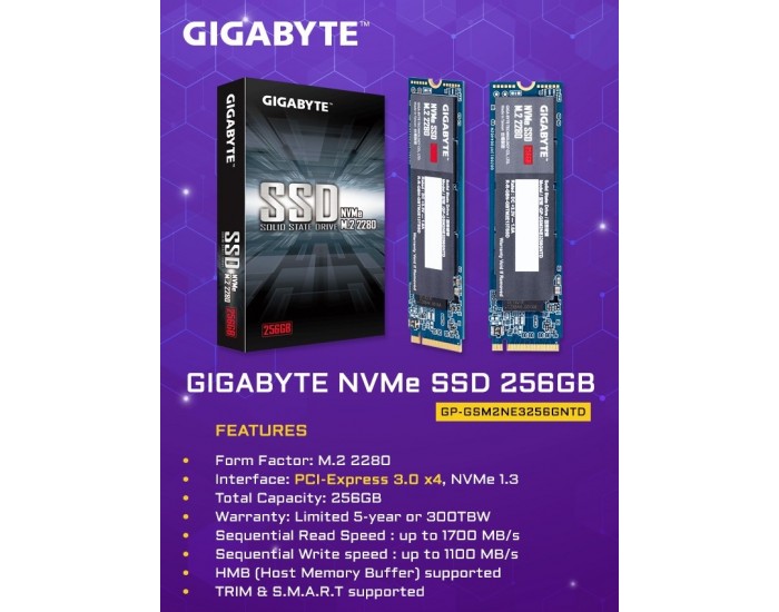 Gigabyte hot sale 256gb ssd